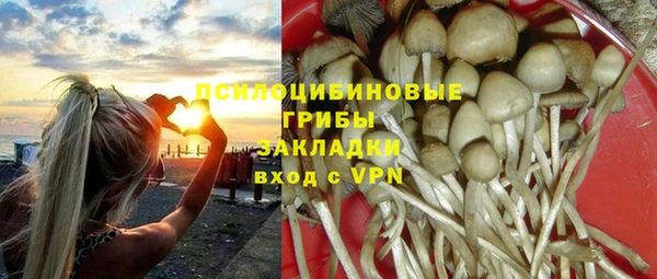круглые Бородино